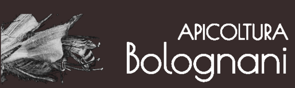 Immagine decorativa per il contenuto Apicoltura Bolognani