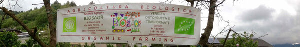 Immagine decorativa per il contenuto Azienda Agricola Biosaor di Ciola Laura