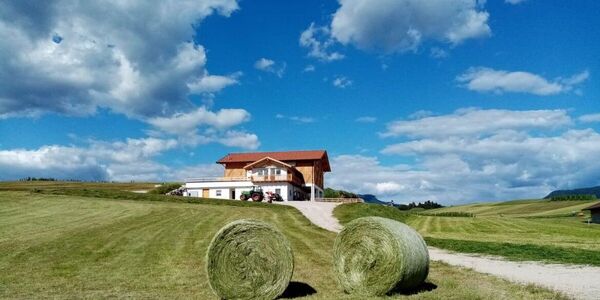 Immagine decorativa per il contenuto Sicherhof Azienda agricola biologica e caseificio 