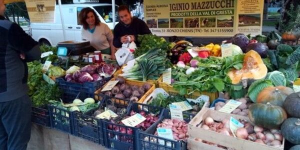 Immagine decorativa per il contenuto Società agricola semplice Mazzucchi Iginio