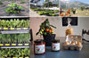 Immagine decorativa per il contenuto Un blog per Nutrire Trento #Fase2 Immagine decorativa per il contenuto Un blog per Nutrire Trento #Fase2